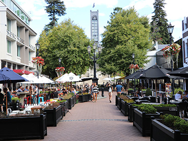 Dine out in Nelson