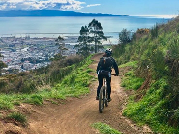 Mountain Biking in Nelson